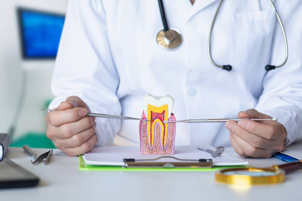 Best Urgent Tooth Repair  in Almont, MI